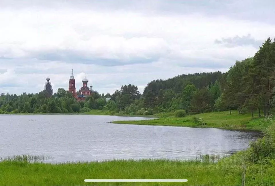 Участок в Тверская область, Пеновский муниципальный округ, д. Синцово  ... - Фото 1