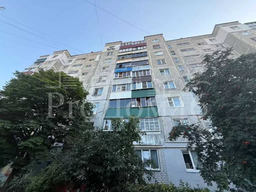 1-к кв. Курская область, Курск ул. Павлуновского, 7 (29.7 м) - Фото 1