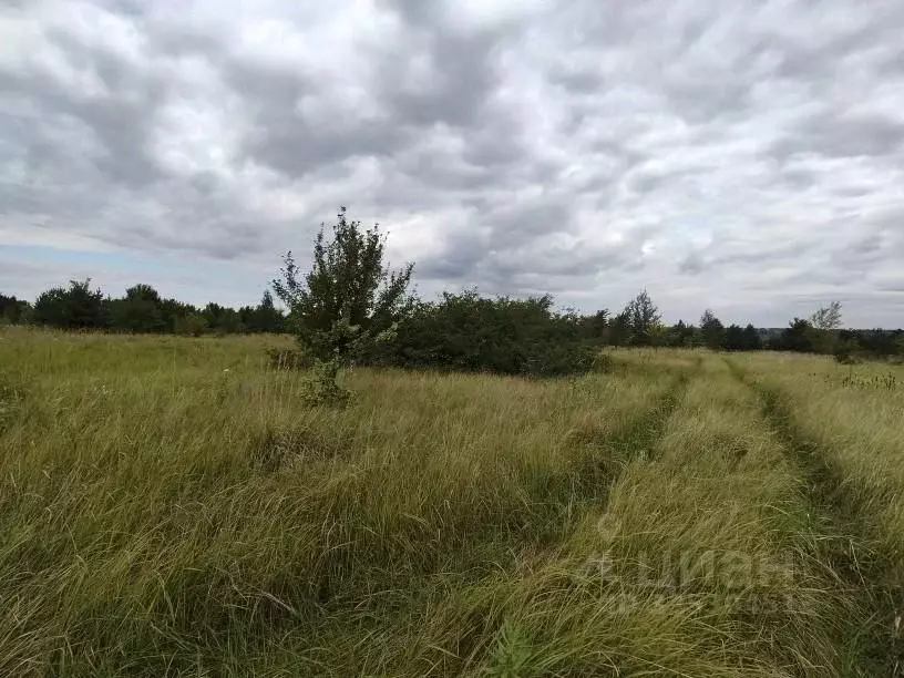 Участок в Воронежская область, Рамонский район, Березовское с/пос, ... - Фото 1