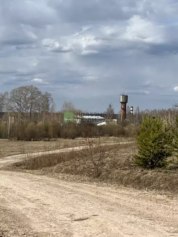 Участок в Кировская область, Киров городской округ, д. Севастьяновы 12 ... - Фото 1