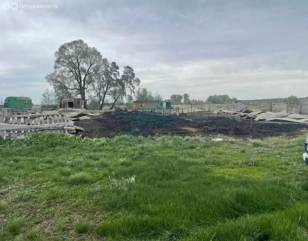 Участок в Оренбургский район, село Нижняя Павловка (3000 м) - Фото 1