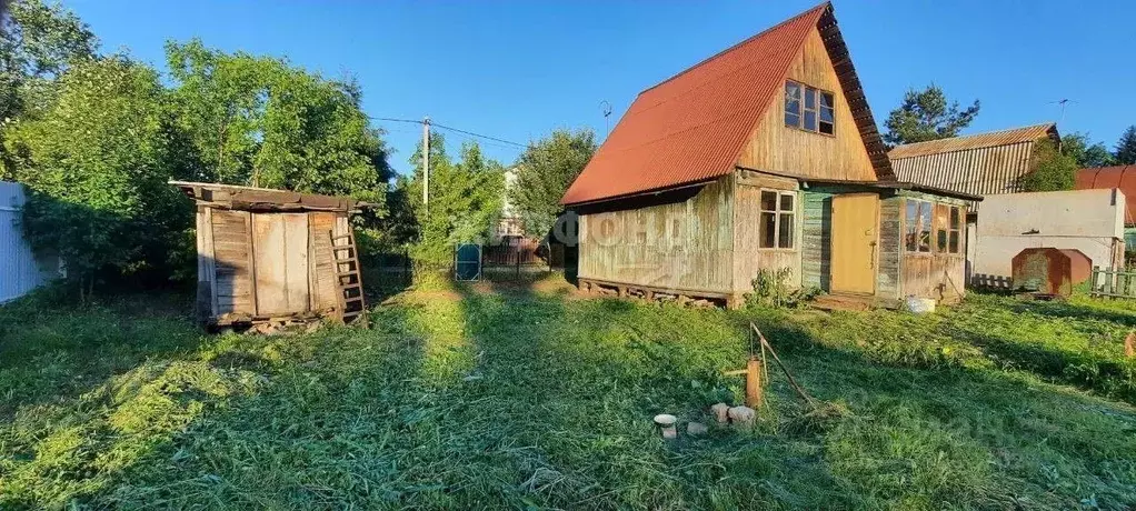 Дом в Новосибирская область, Колыванский район, Электрон СНТ  (35 м) - Фото 1