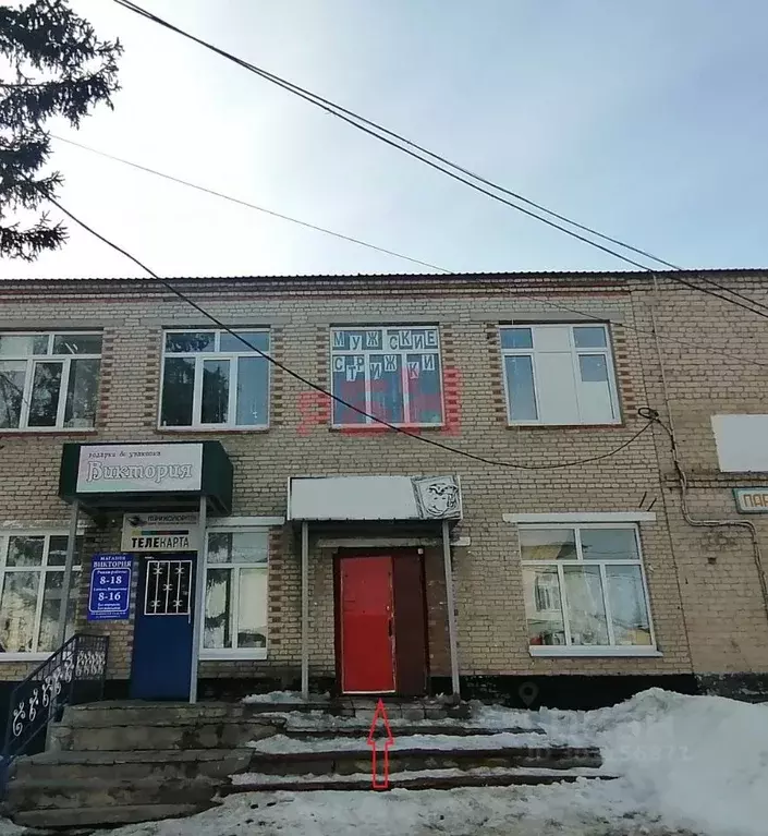 Помещение свободного назначения в Пензенская область, Шемышейка пгт ... - Фото 1