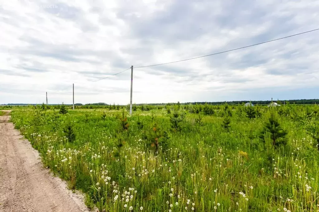 Участок в Свердловская область, посёлок городского типа Тугулым (6.84 ... - Фото 2