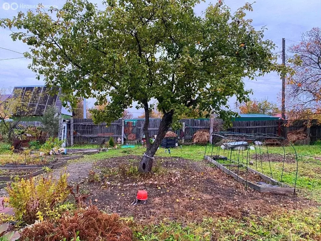 Участок в Егорьевск, улица Механизаторов (5 м) - Фото 2