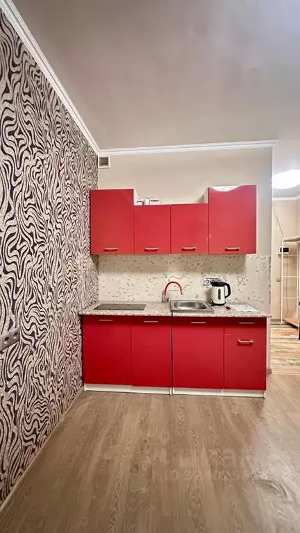 Студия Санкт-Петербург Лиговский просп., 271 (25.0 м) - Фото 2