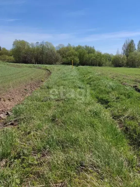 Участок в Краснодарский край, Новороссийск муниципальное образование, ... - Фото 1