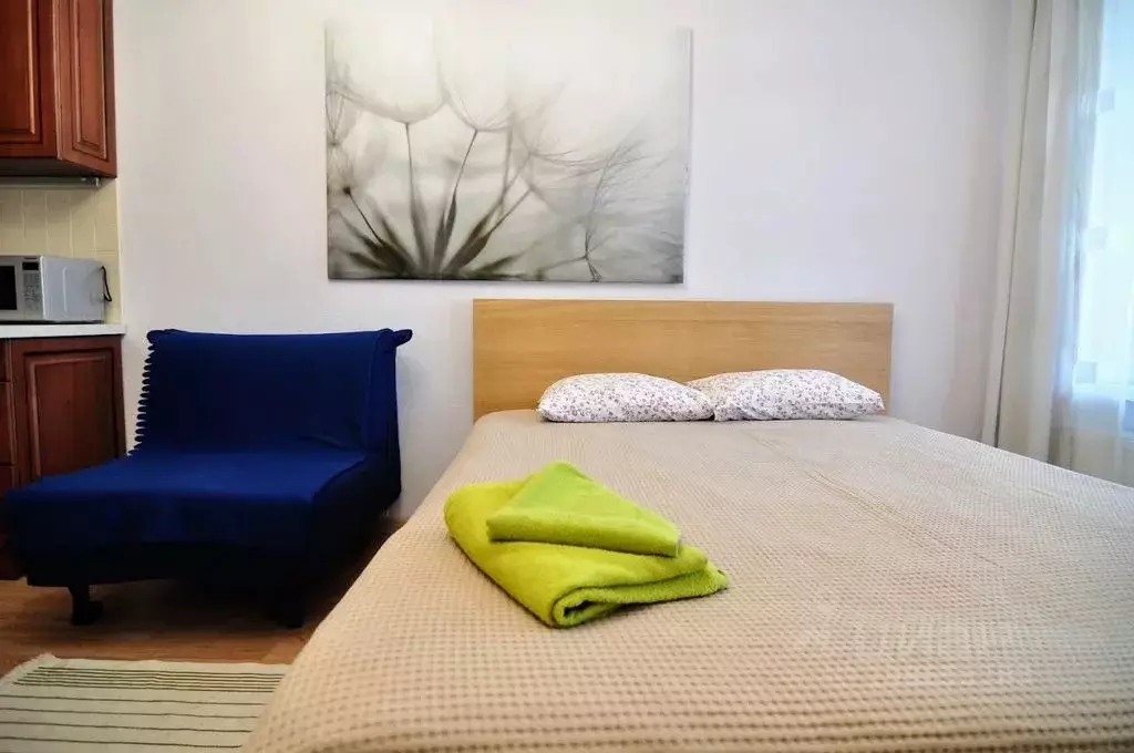 1-к кв. Санкт-Петербург ул. Адмирала Черокова, 18к3 (26.0 м) - Фото 1