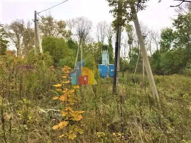 Участок в Тульская область, Тула пос. Рудаково, ул. Льва Толстого (6.0 ... - Фото 1