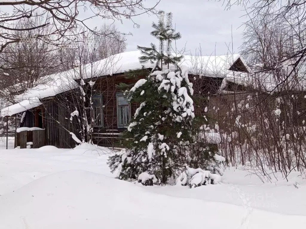 Помещение свободного назначения в Нижегородская область, Ветлуга ул. ... - Фото 2