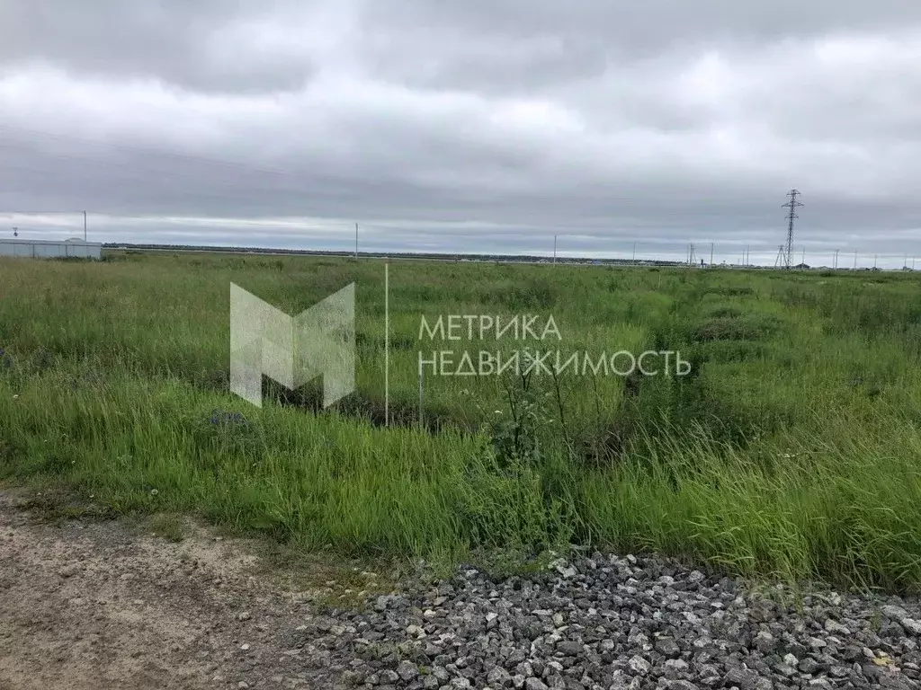 Участок в Тюменская область, Тюмень ул. Ягодная (5.0 сот.) - Фото 1