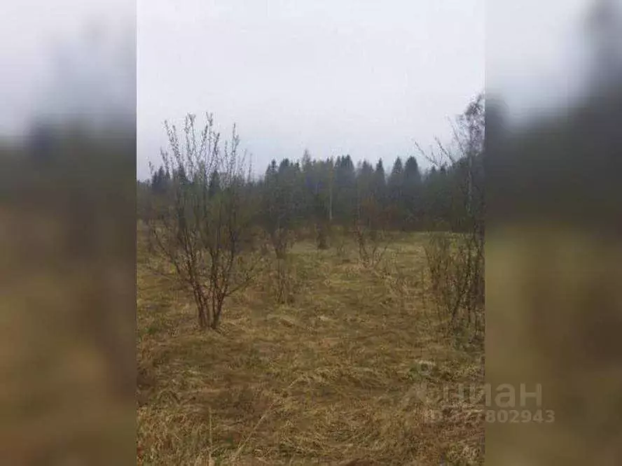 Участок в Ленинградская область, Бокситогорский район, Лидское с/пос, ... - Фото 2