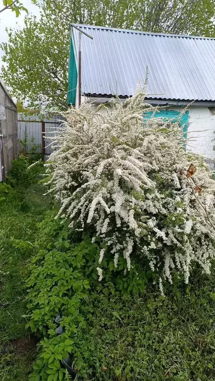 Дом 28 м на участке 6,2 сот. - Фото 0