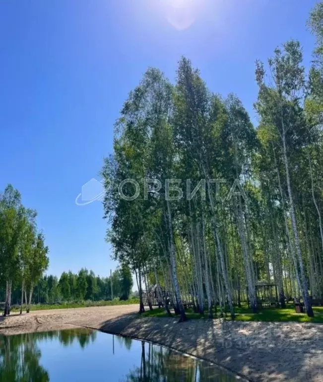 Участок в Тюменская область, Тюменский район Салаирский тракт, 14-й км ... - Фото 1