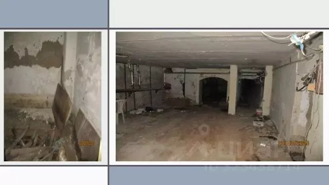 Помещение свободного назначения в Новосибирская область, Новосибирск ... - Фото 0