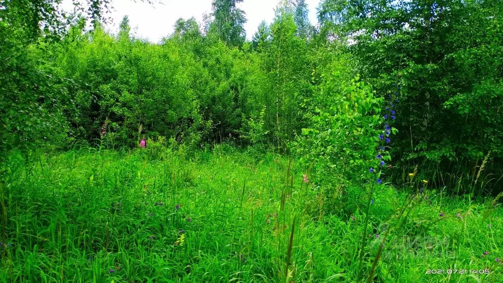 Участок в Иркутская область, Иркутск ул. Загадочная (9.0 сот.) - Фото 2