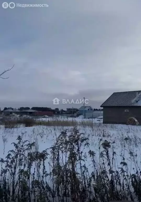 Участок в Нижнекамский район, Каенлинское сельское поселение, село ... - Фото 1