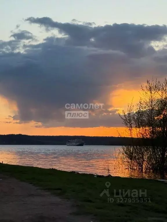 Участок в Пермский край, Пермский муниципальный округ, с. Нижние Муллы ... - Фото 2