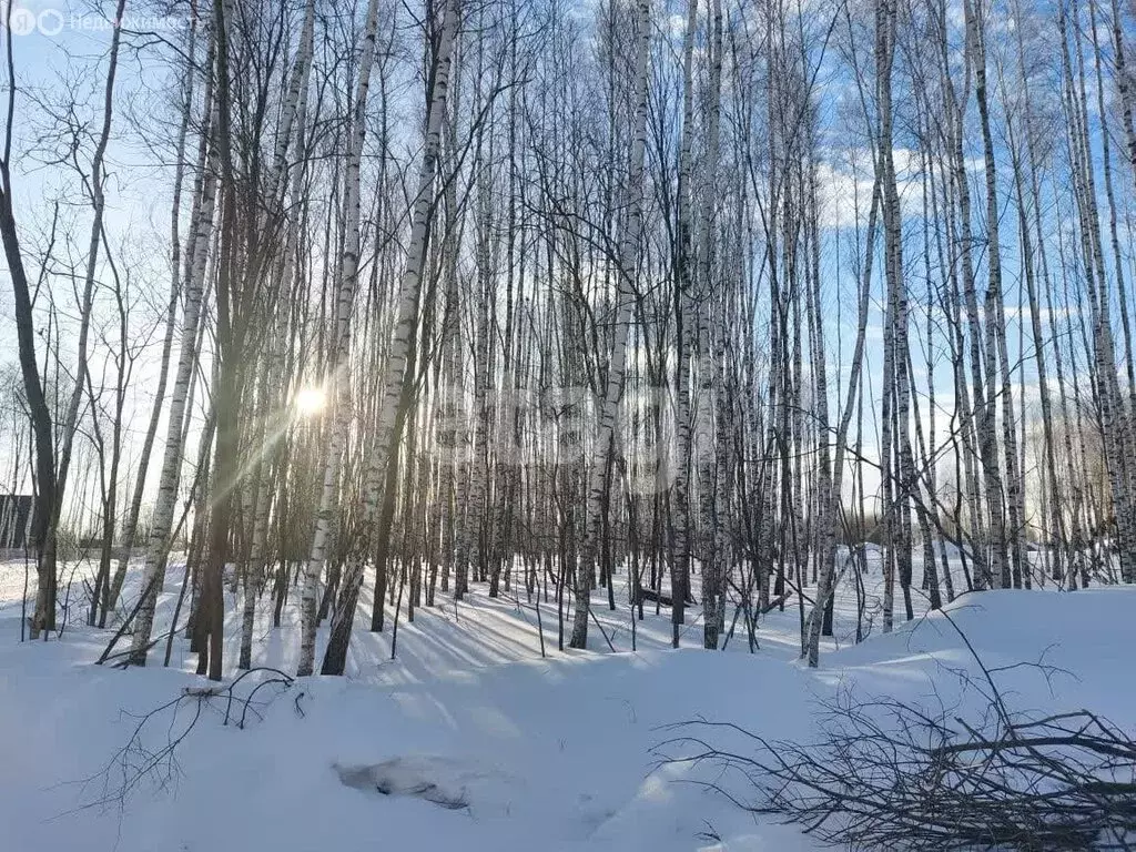 Участок в Тульская область, муниципальное образование Тула, село ... - Фото 1