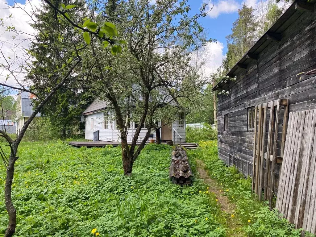 Дом в Ленинградская область, Выборгский район, Рощинское городское ... - Фото 2