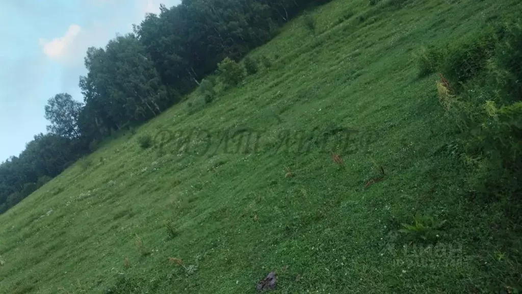 Участок в Алтай, Майминский район, с. Бирюля Центральная ул. (14.0 ... - Фото 0