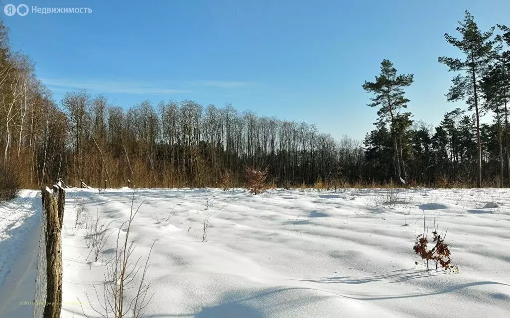 Участок в село Порецкое, Новая улица, 14А (15 м) - Фото 1