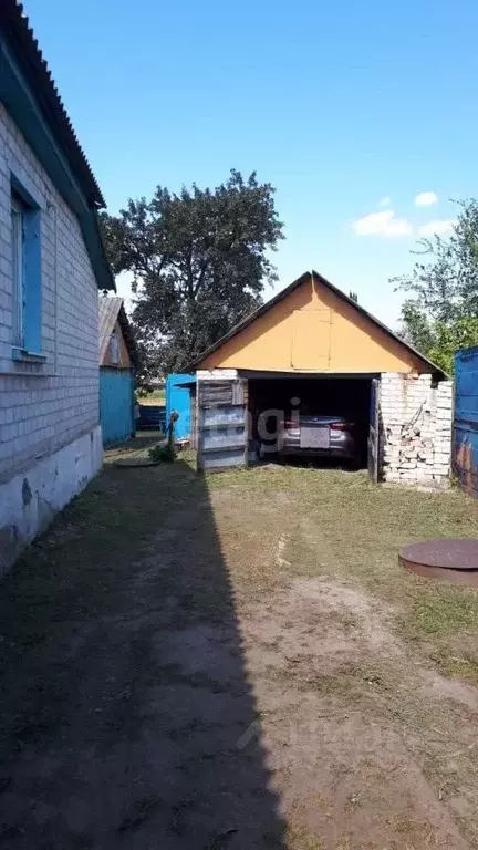 Воронеж данково. Данково воронежская область.