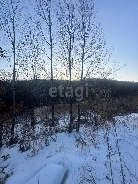 Участок в Амурская область, Благовещенск Строитель садовое ... - Фото 0