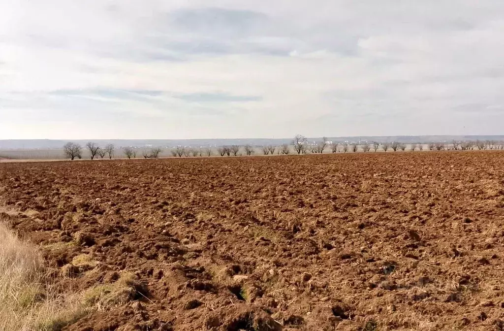 Участок в Крым, Бахчисарайский район, с. Вилино ул. Ленина (620.0 ... - Фото 0