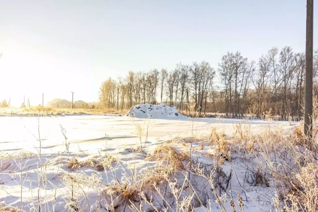 Участок в Новосибирская область, Бердск Раздольный мкр,  (17.6 сот.) - Фото 1