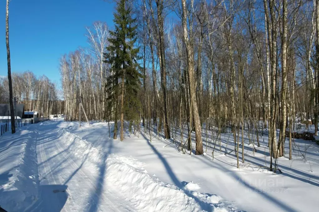 Участок в Московская область, Домодедово городской округ, д. Кучино 4 ... - Фото 1