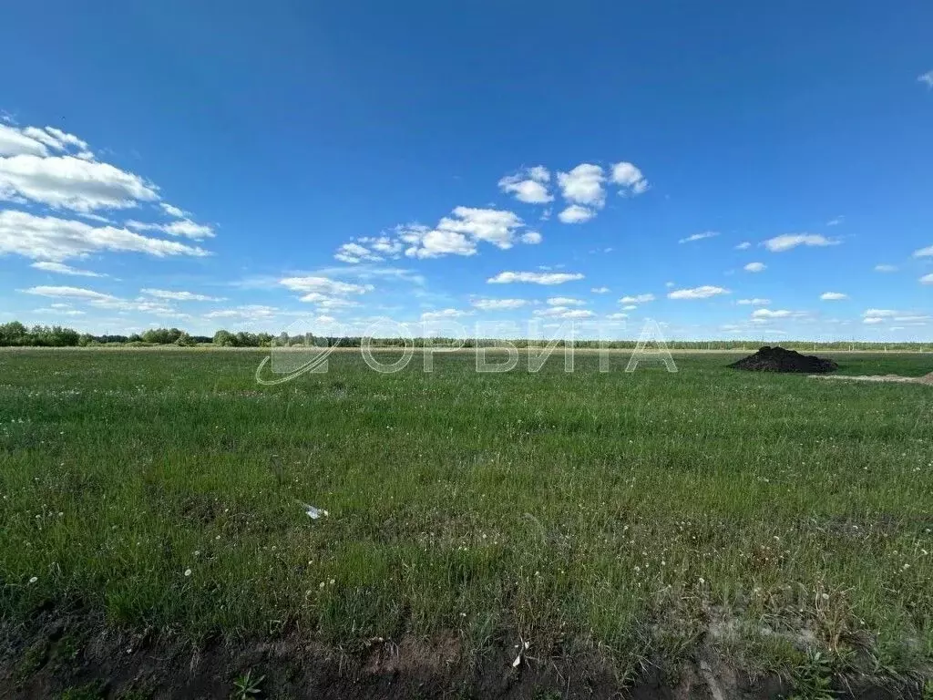 Участок в Тюменская область, Тюменский муниципальный округ, д. Елань ... - Фото 1