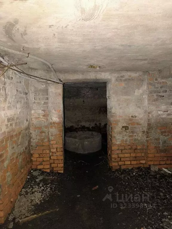 Помещение свободного назначения в Карелия, Петрозаводск просп. Ленина, ... - Фото 2