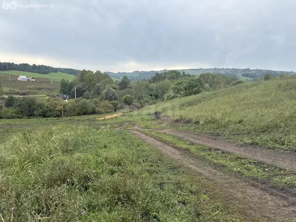 Участок в село Верх-Карагуж, улица 2-я Пятилетка (15 м) - Фото 2