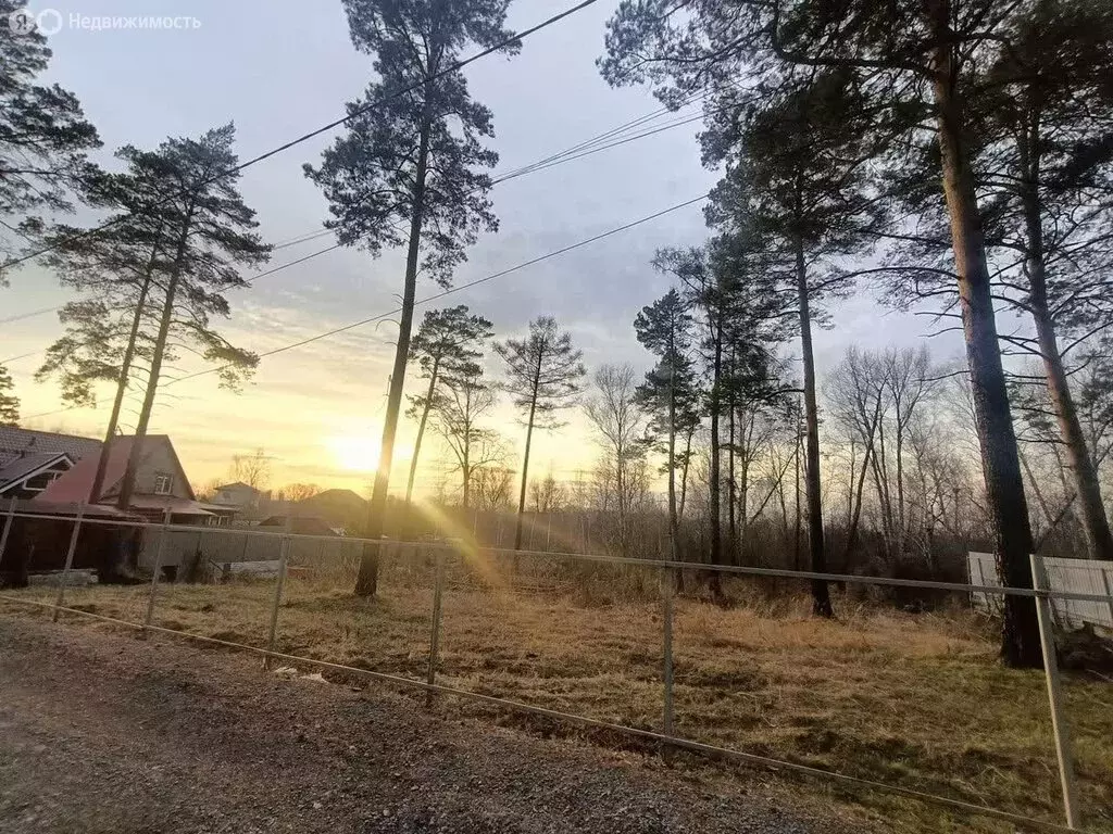 Участок в Новосибирск, СНТ Маяк, Правобережная улица (8 м) - Фото 1