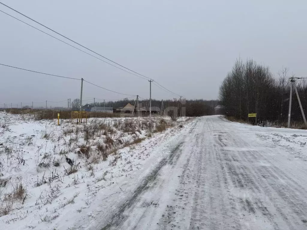 Участок в Тюменская область, Тюменский муниципальный округ, с. Борки  ... - Фото 1