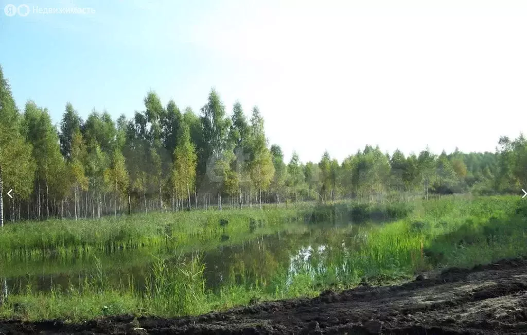 Участок в Ярославский муниципальный округ, СНТ Росток (10 м) - Фото 2