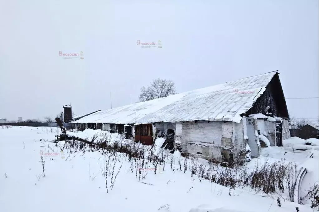 Производственное помещение в Свердловская область, Бисерть пгт  (1304 ... - Фото 0