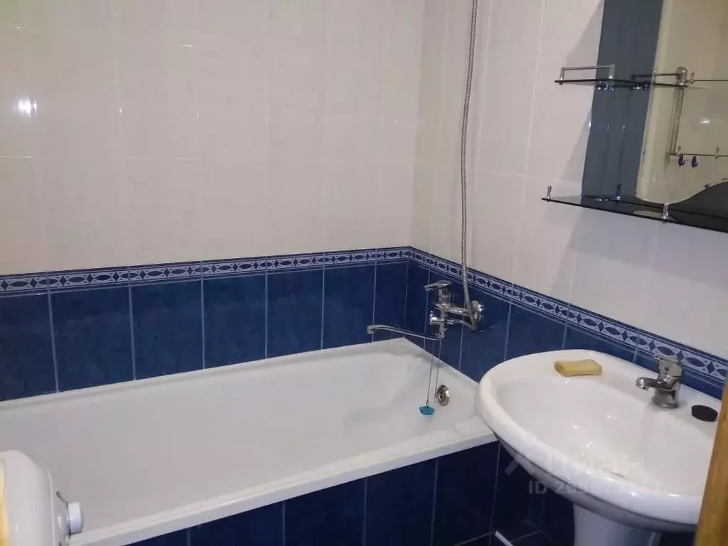 1-к кв. Алтайский край, Барнаул ул. Попова, 143 (35.0 м) - Фото 2