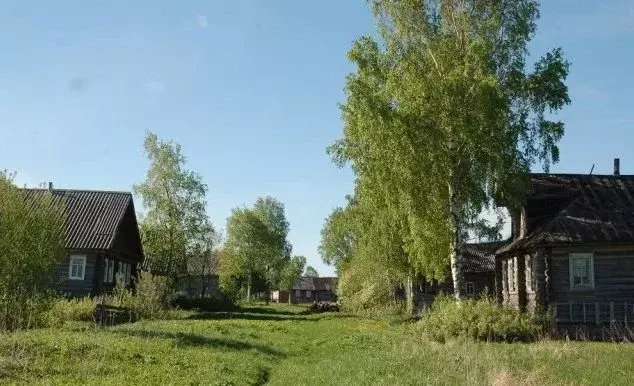 Участок в Вологодская область, Устюженский район, д. Долоцкое  (43.0 ... - Фото 0