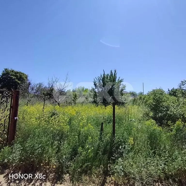 Участок в Волгоградская область, Волгоград Геофизик СНТ,  (6.0 сот.) - Фото 1