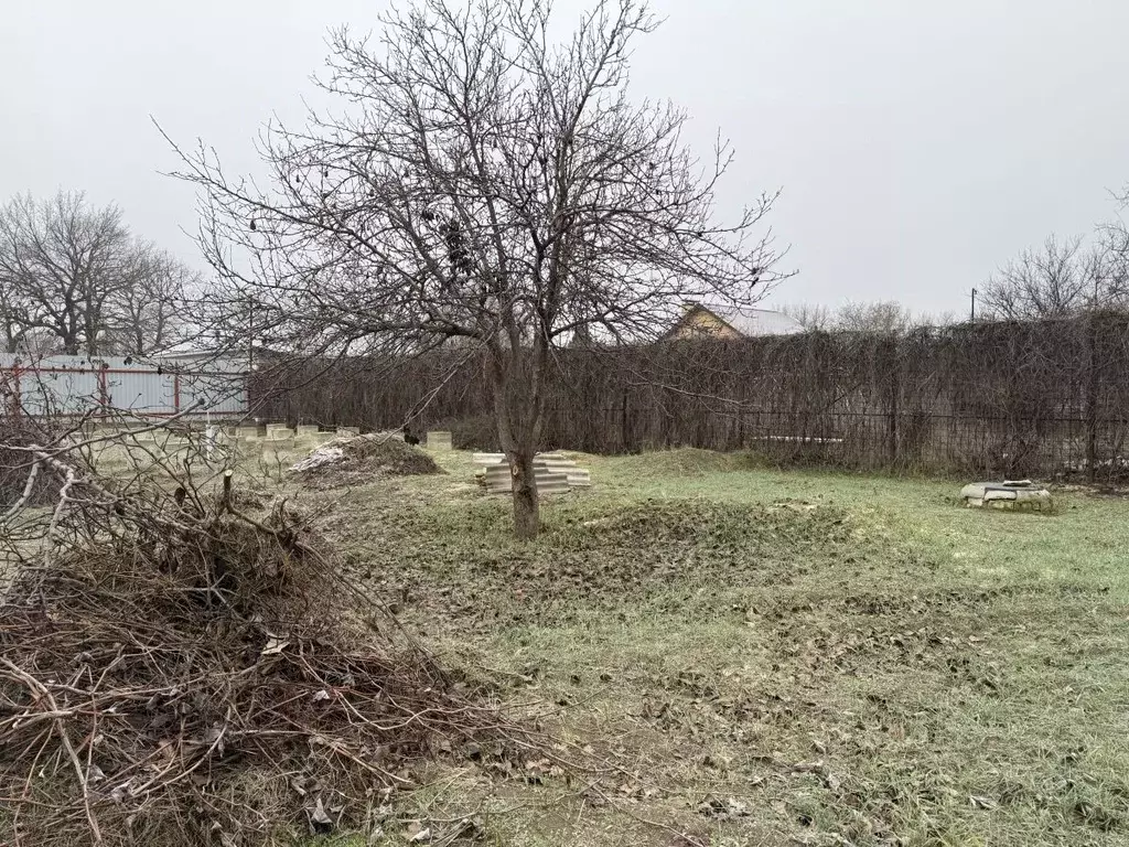 Участок в Волгоградская область, Краснослободск Среднеахтубинский ... - Фото 2