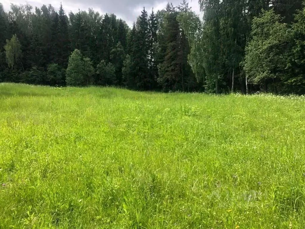 Участок в Московская область, Одинцовский городской округ, с. ... - Фото 1