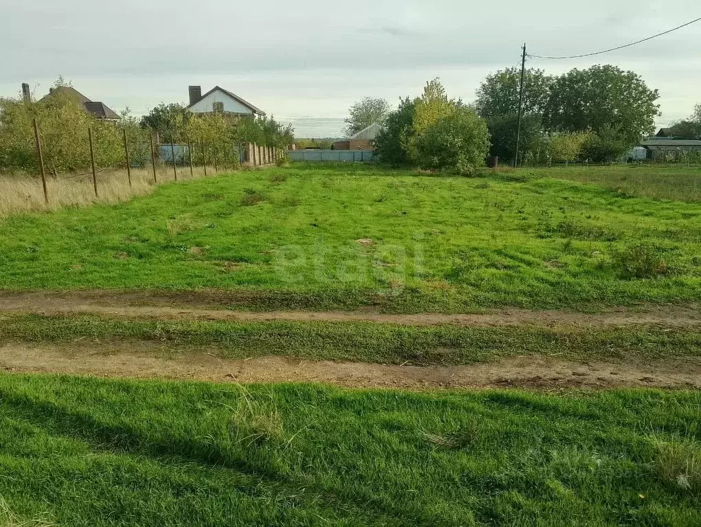 Участок в Ростовская область, Мясниковский район, Краснокрымское ... - Фото 1