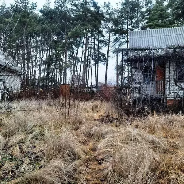 Дом в Белгородская область, Яковлевский городской округ, с. Шопино ... - Фото 1