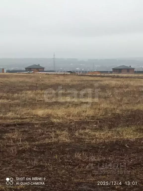 Участок в Мордовия, Кочкуровский район, с. Булгаково ул. Колесникова, ... - Фото 2