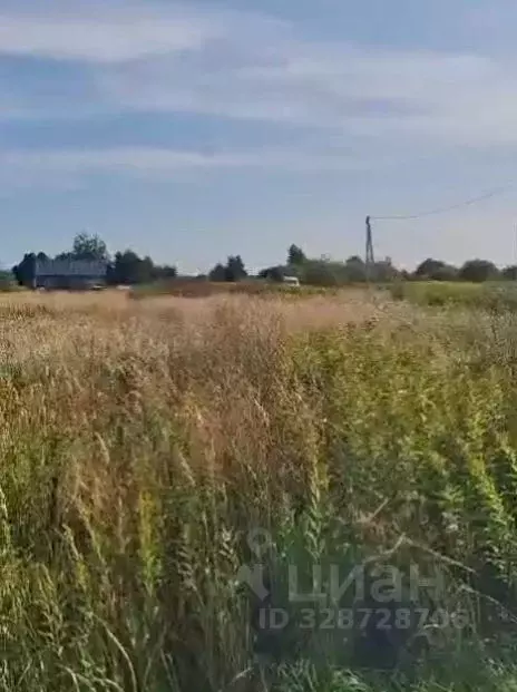 Участок в Калининградская область, Гурьевский муниципальный округ, ... - Фото 1