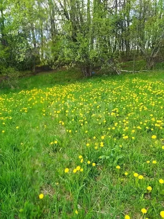 Участок в Калужская область, Перемышльский район, Гремячево с/пос, д. ... - Фото 2