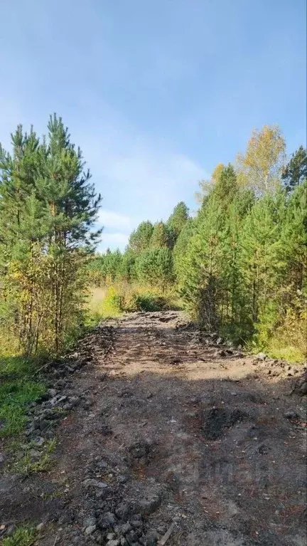 Участок в Томская область, Томский район, Богашевское с/пос, Некрасово ... - Фото 2