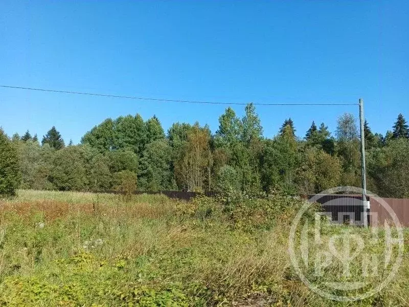 Участок в Ленинградская область, Выборгский район, Красносельское ... - Фото 2